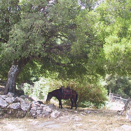 Hotel Agnanti Ágios Konstantínos المظهر الخارجي الصورة